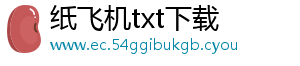 纸飞机txt下载